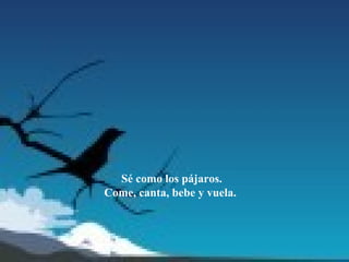 Sé como los pájaros.
Come, canta, bebe y vuela.
 