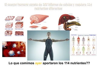 Lo que comimos ayer aportaron los 114 nutrientes??
 