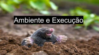 Ambiente e Execução
 