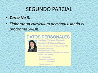 SEGUNDO PARCIALTarea No 3. Elaborar un currículum personal usando el programa Swish.