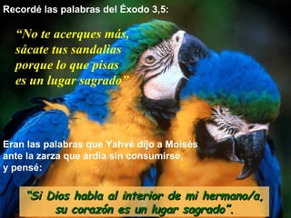 Recordé las palabras del Éxodo 3,5:   Eran las palabras que Yahvé dijo a Moisés  ante la zarza que ardía sin consumirse,  y pensé: “ No te acerques más,  sácate tus sandalias porque lo que pisas  es un lugar sagrado” “ Si Dios habla al interior de mi hermano/a, su corazón es un lugar sagrado”. 