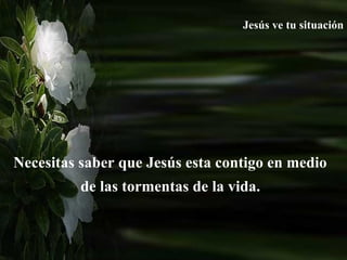 Necesitas saber que Jesús esta contigo en medio  de las tormentas de la vida.   Jesús ve tu situación 