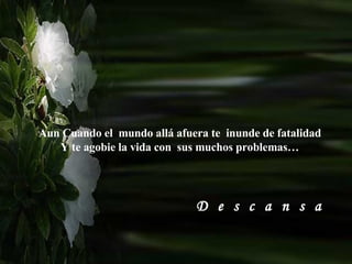 Aun Cuando el  mundo allá afuera te  inunde de fatalidad Y te agobie la vida con  sus muchos problemas… D  e  s  c  a  n  s  a  
