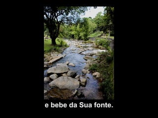 e bebe da Sua fonte. 