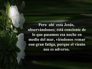 Pero ahí está Jesús,
observándonos; está conciente de
  lo que pasamos esa noche en
medio del mar, viéndonos remar
con gran fatiga, porque el viento
         nos es adverso.
 