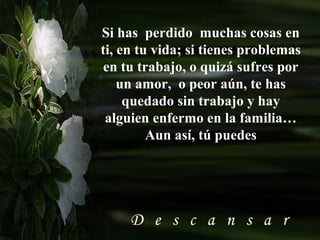Si has perdido muchas cosas en
ti, en tu vida; si tienes problemas
en tu trabajo, o quizá sufres por
    un amor, o peor aún, te has
     quedado sin trabajo y hay
 alguien enfermo en la familia…
         Aun así, tú puedes




     D e s c a n s a r
 