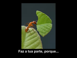 Faz a tua parte, porque... 