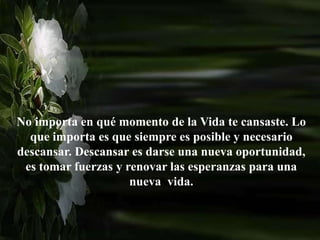 No importa en qué momento de la Vida te cansaste. Lo
que importa es que siempre es posible y necesario
descansar. Descansar es darse una nueva oportunidad,
es tomar fuerzas y renovar las esperanzas para una
nueva vida.
 