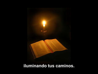 iluminando tuscaminos.