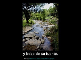 y bebe de su fuente.
Visita: http://www.RenuevoDePlenitud.com
 