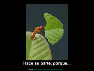 Hace su parte, porque...
Visita: http://www.RenuevoDePlenitud.com
 