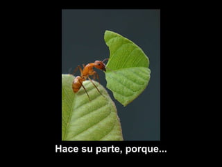 Hace   su  parte, porque... 