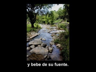 y bebe de su fuente.
 