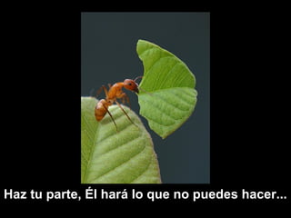 Haz tu parte, Él hará lo que no puedes hacer...
 
