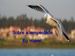 Sobre a tempestade Eu voarei, 