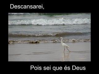 Descansarei, Pois sei que és Deus 