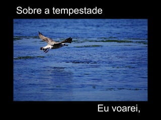 Sobre a tempestade  Eu voarei, 