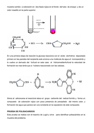 muestra cambio a coloración en dos fases rojiza en el fondo del tubo de ensayo y de un
color rosadito en la parte superior.




En una primera etapa de reacción la glucosa reacciona con el ácido clorhídrico depositado
primero en las paredes del recipiente este arranca una molécula de agua al monosacárido y
lo vuelve un derivado del furfural en este caso el hidroximetilenfurfural la velocidad de
formación es mas lenta que si hubiera reaccionado con las cetosas.




Ahora al adicionarse el resorcinol ataca el grupo carbonilo del radical formilo y forma un
compuesto de coloración rojiza con poca presencia de precipitado del mismo color, y
formación de agua que parece ser una constante en la copulacion de este compuesto.


PRUEBA DE POLISACARIDOS
Esta prueba se realiza con el reactivo de Lugol y sirve   para identificar polisacáridos en la
muestra del problema.
 