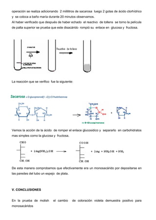 operación se realiza adicionando 2 mililitros de sacarosa luego 2 gotas de ácido clorhídrico
y se coloca a baño maría durante 20 minutos observamos.
Al haber verificado que después de haber echado el reactivo de tollens se torno la película
de palta superior se prueba que este disacárido rompió su enlace en glucosa y fructosa.




La reacción que se verifico fue la siguiente:




Vemos la acción de la ácido de romper el enlace glucosidico y separarlo en carbohidratos
mas simples como la glucosa y fructosa.




De esta manera comprobamos que efectivamente era un monosacárido por depositarse en
las paredes del tubo un espejo de plata.




V. CONCLUSIONES


En la prueba de molish        el cambio     de coloración violeta demuestra positivo para
monosacáridos
 