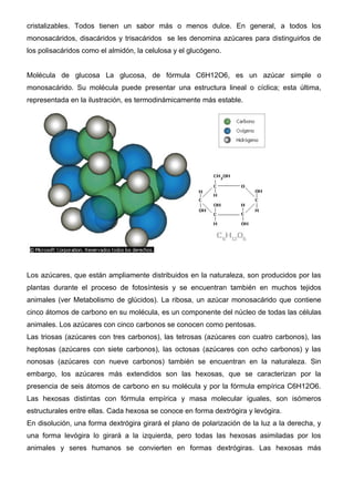 cristalizables. Todos tienen un sabor más o menos dulce. En general, a todos los
monosacáridos, disacáridos y trisacáridos se les denomina azúcares para distinguirlos de
los polisacáridos como el almidón, la celulosa y el glucógeno.


Molécula de glucosa La glucosa, de fórmula C6H12O6, es un azúcar simple o
monosacárido. Su molécula puede presentar una estructura lineal o cíclica; esta última,
representada en la ilustración, es termodinámicamente más estable.




Los azúcares, que están ampliamente distribuidos en la naturaleza, son producidos por las
plantas durante el proceso de fotosíntesis y se encuentran también en muchos tejidos
animales (ver Metabolismo de glúcidos). La ribosa, un azúcar monosacárido que contiene
cinco átomos de carbono en su molécula, es un componente del núcleo de todas las células
animales. Los azúcares con cinco carbonos se conocen como pentosas.
Las triosas (azúcares con tres carbonos), las tetrosas (azúcares con cuatro carbonos), las
heptosas (azúcares con siete carbonos), las octosas (azúcares con ocho carbonos) y las
nonosas (azúcares con nueve carbonos) también se encuentran en la naturaleza. Sin
embargo, los azúcares más extendidos son las hexosas, que se caracterizan por la
presencia de seis átomos de carbono en su molécula y por la fórmula empírica C6H12O6.
Las hexosas distintas con fórmula empírica y masa molecular iguales, son isómeros
estructurales entre ellas. Cada hexosa se conoce en forma dextrógira y levógira.
En disolución, una forma dextrógira girará el plano de polarización de la luz a la derecha, y
una forma levógira lo girará a la izquierda, pero todas las hexosas asimiladas por los
animales y seres humanos se convierten en formas dextrógiras. Las hexosas más
 