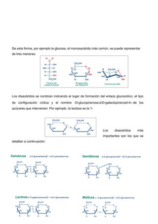 De esta forma, por ejemplo la glucosa, el monosacárido más común, se puede representar
de tres maneras:




Los disacáridos se nombran indicando el lugar de formación del enlace glucosídico, el tipo

de configuración cíclica y el nombre -D-glucopiranosa:d-D-galactopiranosil-4-- de los
azúcares que intervienen. Por ejemplo, la lactosa es la 1-




                                                              Los     disacáridos    más
                                                              importantes son los que se
detallan a continuación:
 