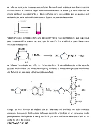 Al tubo de ensayo se coloca en primer lugar la muestra del problema que desconocemos
su nombre de 1 a 2 mililitros luego adicionamos el reactivo de molish que es el alfa-naftol la
misma cantidad seguidamente el ácido sulfúrico pero con cuidado por las paredes del
recipiente por estar este ácido concentrado 2 gotas esperamos la reacción.




Observamos que la reacción tomo una coloración violeta rojizo demostrando que es positivo
para monosacáridos adema se nota que la reacción fue exotérmica pues libero calor
después de reaccionar.




Al haberse depositado en el fondo del recipiente el ácido sulfúrico este actúa sobre la
glucosa arrancándole una molécula de agua y volviendo la molécula de glucosa un derivado
del furfurral en este caso el hidroximetilenfurufural.




Luego    de esa reacción se mezcla con el        alfa-naftol en presencia de ácido sulfúrico
atacando la zona del doble enlace del grupo carbonilo uniéndose en un compuesto mixto
pues presenta sustituyentes ácidos y fenolicos que toma una coloración rojiza violeta en un
anillo del tubo de ensayo.
PRUEBA DE FHELING
 