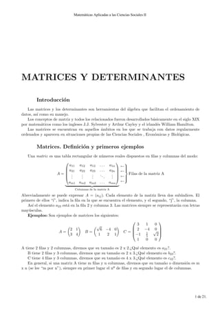 Cap´ıtulo 6
MATRICES Y DETERMINANTES
6.1. Introducci´on
Las matrices y los determinantes son herramientas del ´algebra que facilitan el ordenamiento de
datos, as´ı como su manejo.
Los conceptos de matriz y todos los relacionados fueron desarrollados b´asicamente en el siglo XIX
por matem´aticos como los ingleses J.J. Sylvester y Arthur Cayley y el irland´es William Hamilton.
Las matrices se encuentran en aquellos ´ambitos en los que se trabaja con datos regularmente
ordenados y aparecen en situaciones propias de las Ciencias Sociales , Econ´omicas y Biol´ogicas.
6.2. Matrices. Deﬁnici´on y primeros ejemplos
Una matriz es una tabla rectangular de n´umeros reales dispuestos en ﬁlas y columnas del modo:
A =





a11 a12 a13 . . . a1n
a21 a22 a23 . . . a2n
...
...
...
...
...
am1 am2 am3 . . . amn





Columnas de la matriz A
←
←
←
←



Filas de la matriz A
Abreviadamente se puede expresar A = (aij). Cada elemento de la matriz lleva dos sub´ındices. El
primero de ellos “i”, indica la ﬁla en la que se encuentra el elemento, y el segundo, “j”, la columna.
As´ı el elemento a23 est´a en la ﬁla 2 y columna 3. Las matrices siempre se representar´an con letras
may´usculas.
Ejemplos: Son ejemplos de matrices los siguientes:
A =
2 1
3 4
B =
√
6 −4 0
1 2 1
C =




3 1 0
2 −4 0
−1 1
5
√
2
1 0 0




A tiene 2 ﬁlas y 2 columnas, diremos que su tama˜no es 2 x 2.¿Qu´e elemento es a21?.
B tiene 2 ﬁlas y 3 columnas, diremos que su tama˜no es 2 x 3.¿Qu´e elemento es b23?.
C tiene 4 ﬁlas y 3 columnas, diremos que su tama˜no es 4 x 3.¿Qu´e elemento es c42?.
En general, si una matriz A tiene m ﬁlas y n columnas, diremos que su tama˜no o dimensi´on es m
x n (se lee “m por n”), siempre en primer lugar el nö de ﬁlas y en segundo lugar el de columnas.
82
Matemáticas Aplicadas a las Ciencias Sociales II
1 de 21.
 