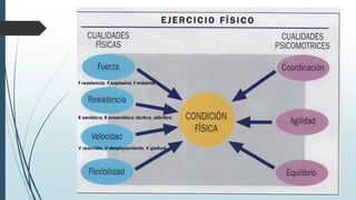 F resistencia, F explosiva, F máxima
R aeróbica, R anaeróbica: láctica, aláctica
V reacción, V desplazamiento, V gestual
 