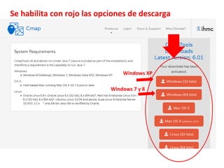 Se habilita con rojo las opciones de descarga
Windows XP
Windows 7 y 8
 