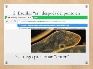 2. Escribir “ss” después del punto en
la dirección web
3. Luego presionar “enter”
 
