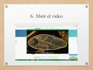 6. Abrir el video
 
