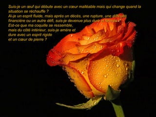 Suis-je un œuf qui débute avec un cœur malléable mais qui change quand la situation se réchauffe ?  Ai-je un esprit fluide, mais après un décès, une rupture, une difficulté financière ou un autre défi, suis-je devenue plus dure et fermée ?  Est-ce que ma coquille se ressemble,  mais du côté intérieur, suis-je amère et dure avec un esprit rigide  et un cœur de pierre ? 