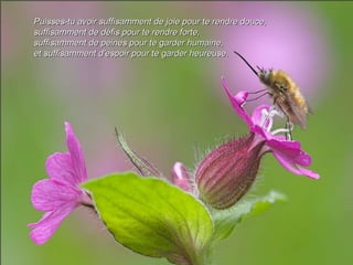 Puisses-tu avoir suffisamment de joie pour te rendre douce, suffisamment de défis pour te rendre forte,  suffisamment de peines pour te garder humaine,  et suffisamment d'espoir pour te garder heureuse. 