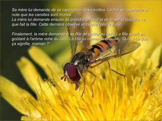 Sa mère lui demande de se rapprocher des carottes. La fille se rapproche et note que les carottes sont molles.  La mère lui demande ensuite de prendre un œuf et de briser la coquille, ce que fait la fille. Cette dernière observe alors que l'œuf est dur.   Finalement, la mère demande à sa fille de goûter au café. La fille sourit en goûtant à l'arôme riche du café. La fille lui demande ensuite : 'Qu'est-ce que ça signifie, maman ?' 