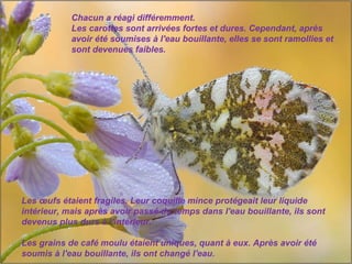 Chacun a réagi différemment.  Les carottes sont arrivées fortes et dures. Cependant, après avoir été soumises à l'eau bouillante, elles se sont ramollies et sont devenues faibles.  Les œufs étaient fragiles. Leur coquille mince protégeait leur liquide intérieur, mais après avoir passé du temps dans l'eau bouillante, ils sont devenus plus durs à l'intérieur.  Les grains de café moulu étaient uniques, quant à eux. Après avoir été soumis à l'eau bouillante, ils ont changé l'eau. 