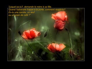 'Lequel es-tu?, demande la mère à sa fille.  Quand l'adversité frappe à ta porte, comment réagis-tu?  Es-tu une carotte, un œuf  ou un grain de café ?' 