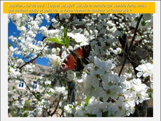 Souviens-toi de ceci : Lequel suis-je? Suis-je la carotte qui semble forte, mais  qui devient molle et perd de sa force devant la douleur et l’adversité ?  