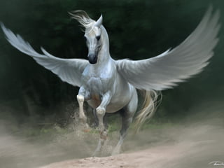 René Descartes - Roteiro de aula