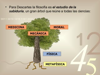 Para Descartes la filosofía es  el estudio de la sabiduría , un gran árbol que reúne a todas las ciencias: METAFÍSICA FÍSICA MEDICINA MECÁNICA MORAL 