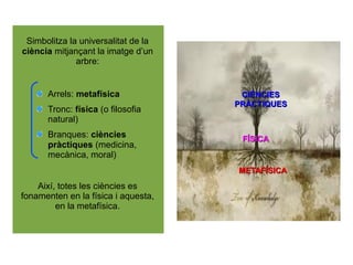 Simbolitza la universalitat de la
ciència mitjançant la imatge d’un
arbre:
Arrels: metafísica
Tronc: física (o filosofia
natural)
Branques: ciències
pràctiques (medicina,
mecànica, moral)
Així, totes les ciències es
fonamenten en la física i aquesta,
en la metafísica.
METAFÍSICA
METAFÍSICA
FÍSICA
FÍSICA
CIÈNCIES
CIÈNCIES
PRÀCTIQUES
PRÀCTIQUES
 