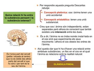 Quina relació hi ha entre
la substància pensant i la
substància extensa?
Per respondre aquesta pregunta Descartes
rebutja:
Concepció platònica: cos i ànima tenen una
unió accidental
Concepció aristotèlica: tenen una unió
substancial.
Creu que cos i ànima són independents, estan
separades però alhora és conscient que també
existeix una interacció entre les dues.
És a dir, l’ànima no es troba només instal·lada en
el cos sinó que experimenta els seus
moviments i alhora el cos obeeix les ordres de
l’ànima.
Així queda clar que hi ha d’haver una relació entre
ambdues substàncies, un lloc en el cos en el qual
l’ànima es relaciona amb la realitat natural:
GLÀNDULA PINEAL
És l’única part del cervell
(petita i situada al centre)
que no és doble (les altres
parts del cervell sí que
ho són) i per tant és la
seu de l’ànima.
 