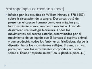 Antropologia cartesiana (text) Influido por los estudios de William Harvey (1578-1657) sobre la circulación de la sangre. Descartes trató de presentar el cuerpo humano como una máquina y su funcionamiento como puramente mecánico. Trató de desarrollar una fisiología hidráulica. Todos los movimientos del cuerpo estarían determinados por el movimiento de un líquido que él llamaba el espíritu animal, y que produciría todos los fenómenos fisiológicos, desde la digestión hasta los movimientos reflejos. El alma, a su vez, podía controlar los movimientos corporales actuando sobre el líquido “espíritu animal” en la glándula pineal.(...) 