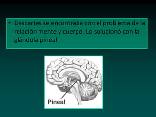 • Descartes se encontraba con el problema de la
relación mente y cuerpo. Lo solucionó con la
glándula pineal

 