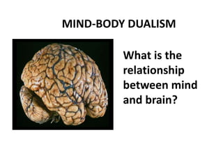 MIND-BODY DUALISM
What is the
relationship
between mind
and brain?
 