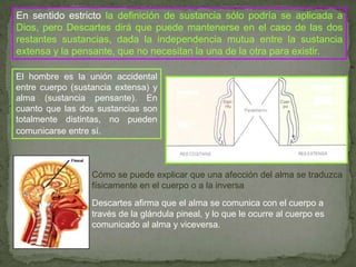 En sentido estricto la definición de sustancia sólo podría se aplicada a Dios, pero Descartes dirá que puede mantenerse en el caso de las dos restantes sustancias, dada la independencia mutua entre la sustancia extensa y la pensante, que no necesitan la una de la otra para existir.El hombre es la unión accidental entre cuerpo (sustancia extensa) y alma (sustancia pensante). En cuantoquelas dos sustancias son totalmentedistintas, no puedencomunicarseentre sí.Cómose puedeexplicarqueunaafección del alma se traduzcafísicamente en el cuerpo o a la inversaDescartes afirmaqueel alma se comunica con el cuerpo a través de la glándulapineal, y lo que le ocurre al cuerpoescomunicado al alma y viceversa.
