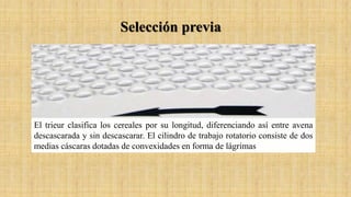El trieur clasifica los cereales por su longitud, diferenciando así entre avena
descascarada y sin descascarar. El cilindro de trabajo rotatorio consiste de dos
medias cáscaras dotadas de convexidades en forma de lágrimas
Selección previa
 