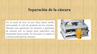 En el canal de aire, el aire fluye hacia arriba,
atravesando el velo de producto de los cereales.
Durante esta operación, las cáscaras y partículas
de cáscara con su menor peso específico son
arrastradas hacia arriba. En este paso se separa el
volumen principal de cáscaras
Separación de la cáscara
 