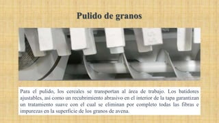 Para el pulido, los cereales se transportan al área de trabajo. Los batidores
ajustables, así como un recubrimiento abrasivo en el interior de la tapa garantizan
un tratamiento suave con el cual se eliminan por completo todas las fibras e
impurezas en la superficie de los granos de avena.
Pulido de granos
 