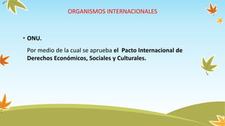 ORGANISMOS INTERNACIONALES
• ONU.
Por medio de la cual se aprueba el Pacto Internacional de
Derechos Económicos, Sociales y Culturales.
 