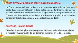 • CORTE INTERAMERICANA DE DERECHOS HUMANOS (OEA)
La Corte Interamericana de Derechos Humanos, con sede en San José
Costa Rica, es una institución judicial autónoma de la Organización de los
Estados Americanos cuyo objetivo es la aplicación e interpretación de la
Convención Americana sobre Derechos Humanos y de otros tratados
concernientes al mismo asunto y fue establecida en 1979.
• DERECHOS - HUMAN RIGHTS
Derechos Human Rights es una organización internacional que trabaja por
el respeto y la promoción de los derechos humanos en todo el mundo.
 